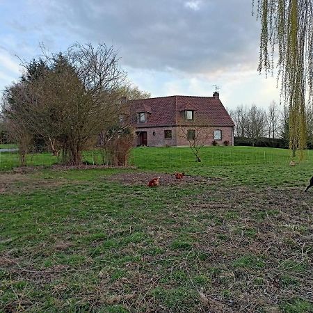 Les Chambres D'Hotes Du Vert Galant " L'Allee Des Champs" Verlinghem Zewnętrze zdjęcie