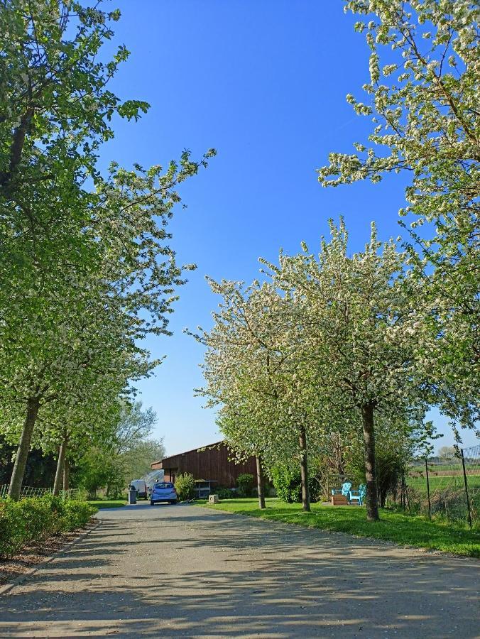 Les Chambres D'Hotes Du Vert Galant " L'Allee Des Champs" Verlinghem Zewnętrze zdjęcie