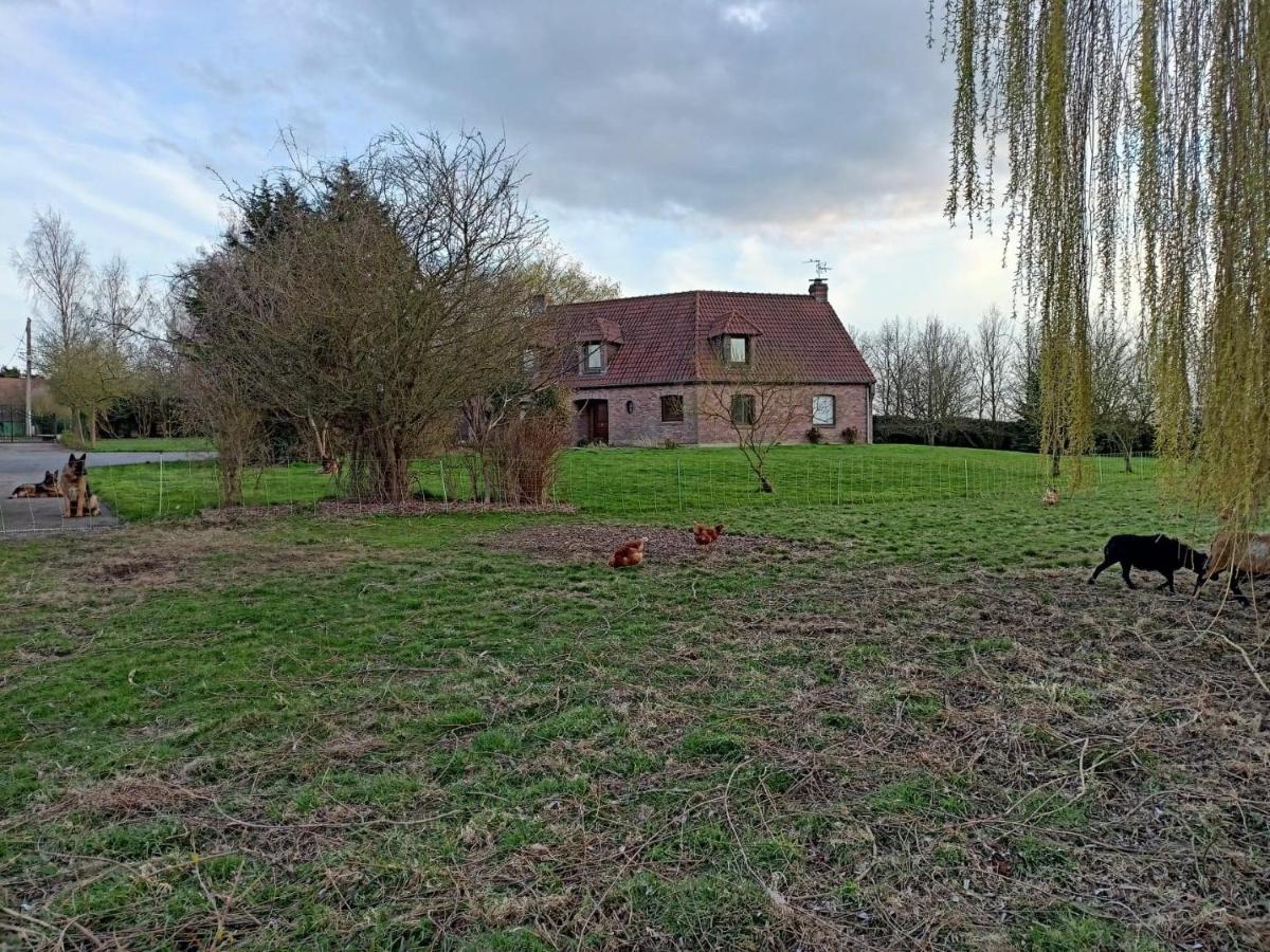 Les Chambres D'Hotes Du Vert Galant " L'Allee Des Champs" Verlinghem Zewnętrze zdjęcie
