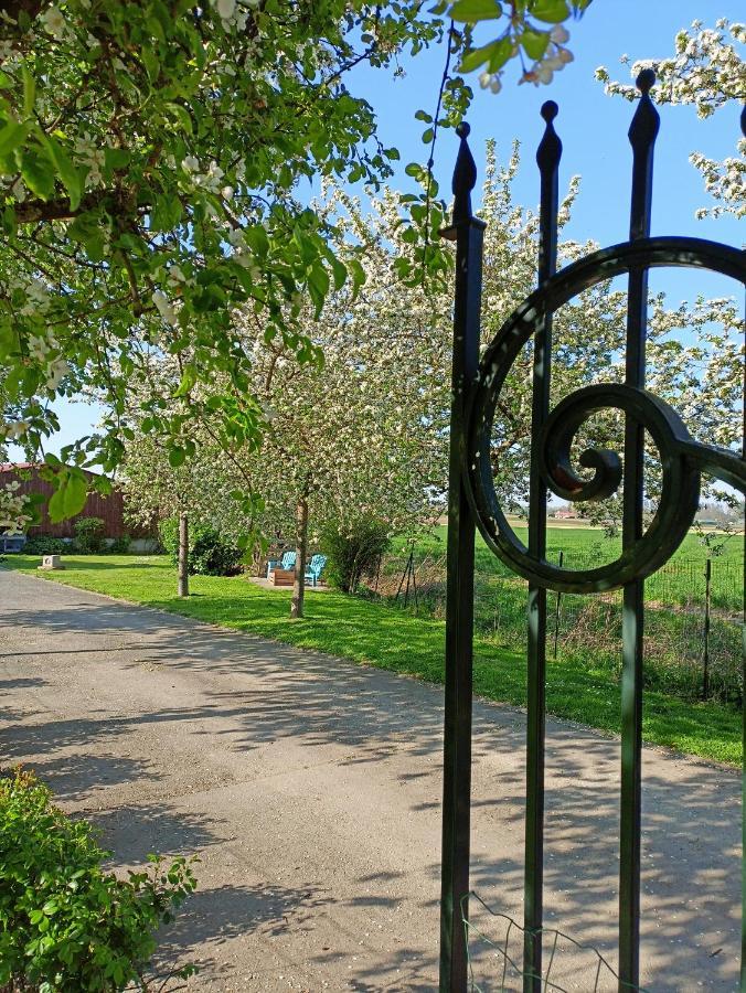 Les Chambres D'Hotes Du Vert Galant " L'Allee Des Champs" Verlinghem Zewnętrze zdjęcie